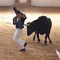 IMG_1556