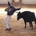 IMG_1557