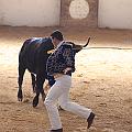 IMG_1559