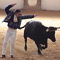 IMG_1561