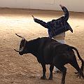 IMG_1563