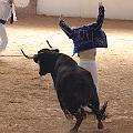 IMG_1565