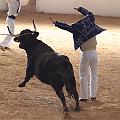 IMG_1566
