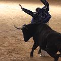 IMG_1570