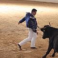 IMG_1571