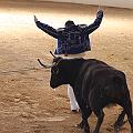 IMG_1572
