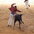 IMG_1584