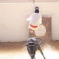 IMG_1586
