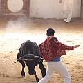 IMG_1591