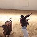 IMG_1595