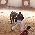 IMG_1597