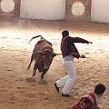 IMG_1598