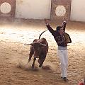 IMG_1599