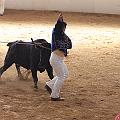IMG_1611